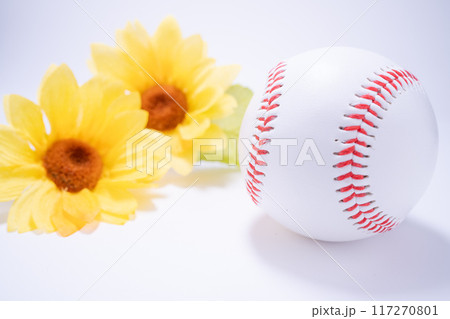 夏の硬式野球ボールのイメージ 117270801
