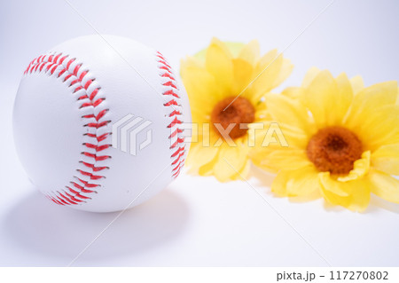 夏の硬式野球ボールのイメージ 117270802