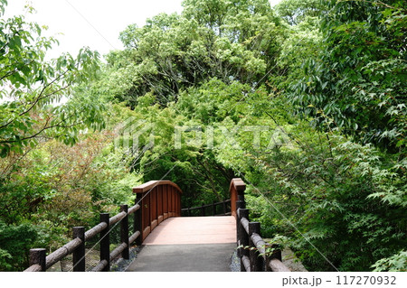 緑に覆われた木橋 緑に覆われた木橋 117270932