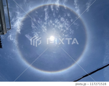 天使の輪っか 117271528