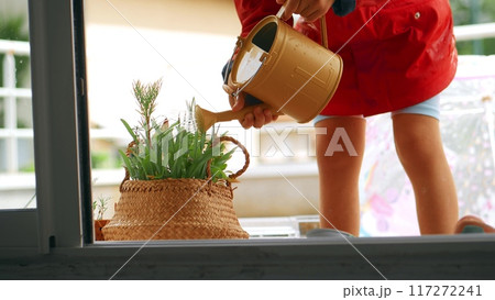 A little girl watering her plants with the yellow watering can at home. Ecological education and care concept A little girl watering her plants with the yellow watering can at home. Ecological education and care concept 117272241