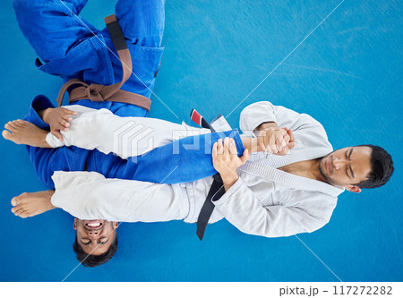 Top view, karate and men training for competition, fitness and fighting for match, wellness or health. Mma, healthy males or practice for game, martial arts and exercise for workout, power or routine Top view, karate and men training for competition, fitness and fighting for match, wellness or health. Mma, healthy males or practice for game, martial arts and exercise for workout, power or routine 117272282