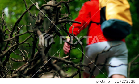 A man with red jacket and yellow backpack hikes hikes in the woods by forest debris 117272329
