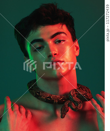 Skincare, man and snake in studio for beauty, wellness and treatment in art or creative, neon and green background. Face, portrait and model with animal for danger, glow and python extract product Skincare, man and snake in studio for beauty, wellness and treatment in art or creative, neon and green background. Face, portrait and model with animal for danger, glow and python extract product 117272439
