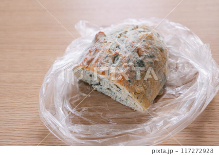 カビの生えたパン カビの生えたパン 117272928