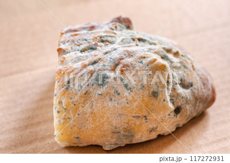 カビの生えたパン カビの生えたパン 117272931