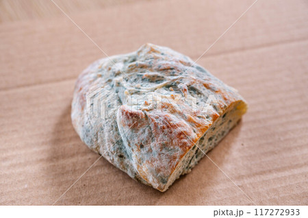 パン全体に広がったカビ 117272933