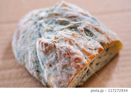 パン全体に広がったカビ パン全体に広がったカビ 117272934