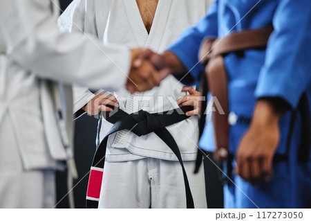 Handshake, karate and martial arts teamwork in competition, challenge and combat fight in wellness studio. Black belt trainer and sports fitness coach in gym workout, exercise and training for health 117273050