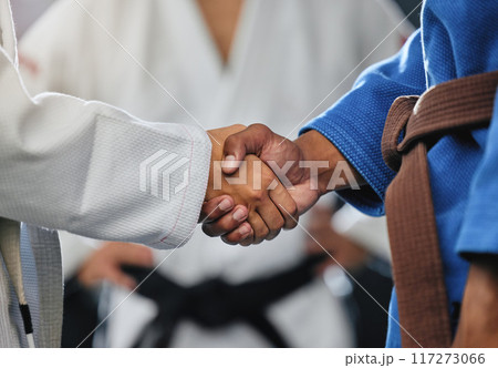 Handshake, respect and discipline with mma, karate and fight students shaking hands before a match or combat sport in a training gym or dojo. Training, exercise and workout in self defense class Handshake, respect and discipline with mma, karate and fight students shaking hands before a match or combat sport in a training gym or dojo. Training, exercise and workout in self defense class 117273066