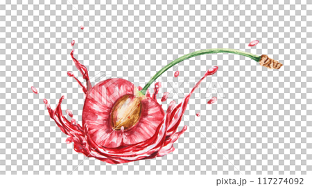 Red cherry in a splash. Juicy hand drawn watercolor illustration. Delicious food art, fresh botanical realistic painting. Summer berry clipart for menu, prints, packaging of farm goods, vegan products Red cherry in a splash. Juicy hand drawn watercolor illustration. Delicious food art, fresh botanical realistic painting. Summer berry clipart for menu, prints, packaging of farm goods, vegan products 117274092
