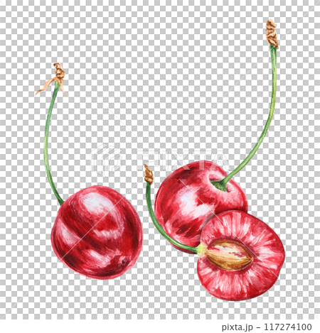 Half a red cherry. Juicy hand drawn watercolor illustration. Delicious food art, fresh botanical realistic painting. Summer berry clipart for restaurant menu, packaging of farm goods, vegan products Half a red cherry. Juicy hand drawn watercolor illustration. Delicious food art, fresh botanical realistic painting. Summer berry clipart for restaurant menu, packaging of farm goods, vegan products 117274100