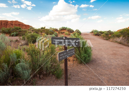 Directional Signage to Landscape Arch in Utah 117274250