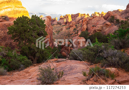 Devils Garden Trail Rock Formations in Utah 117274253