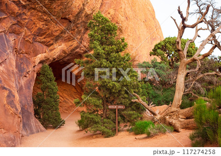 Navajo Arch in Devils Garden, Arches National Park Navajo Arch in Devils Garden, Arches National Park 117274258