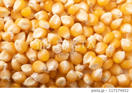 ポップコーン（乾燥とうもろこし） 117274852