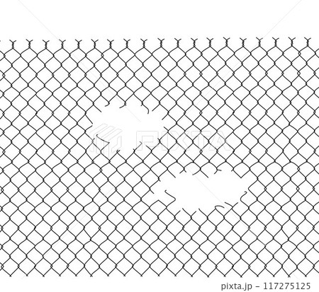 Hole in the mesh wire fence, hole in a chain-link fence, broken wire mesh fence Hole in the mesh wire fence, hole in a chain-link fence, broken wire mesh fence 117275125