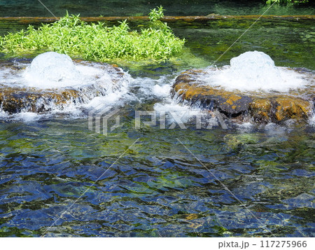 静岡県 富士の湧水の噴出口がある公園 5月 静岡県 富士の湧水の噴出口がある公園 5月 117275966
