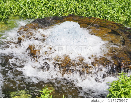 静岡県　富士の湧水の噴出口がある公園　5月 117275967