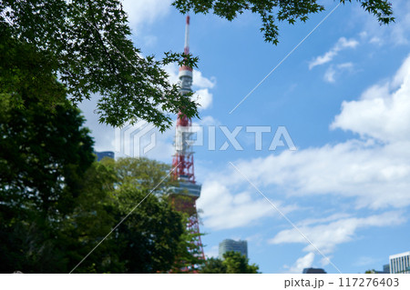 公園から見えるスカイツリー 117276403