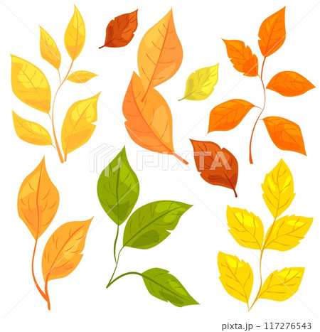 Illustration of various colorful autumn and spring leaves on a white background. Concept of seasonal changes and nature. Vector illustration 117276543