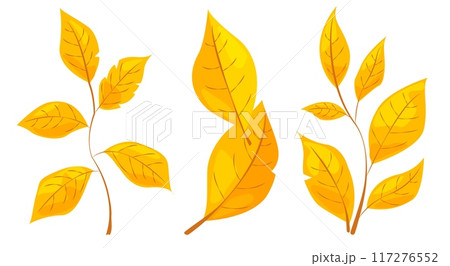 Illustration of bright yellow autumn leaves. Simple graphic style on white background. Concept of autumn and seasonal change. Vector illustration Illustration of bright yellow autumn leaves. Simple graphic style on white background. Concept of autumn and seasonal change. Vector illustration 117276552