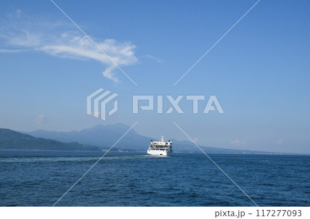 イルカウォッチング　長崎　口之津　熊本　天草 117277093