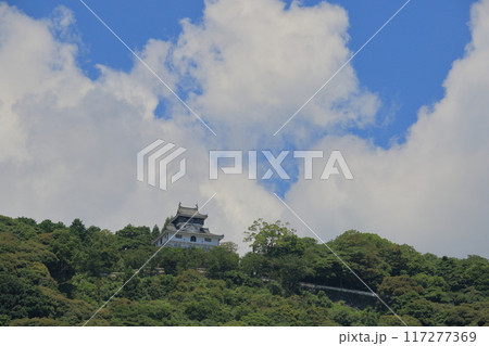 岩国城　白い雲と夏空背景の岩国城 117277369