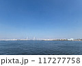 横浜大さん橋からの澄んだ青空と海 117277758