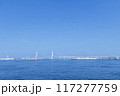 横浜大さん橋からの澄んだ青空と海 117277759