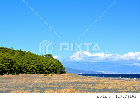 静岡・三保の松原 117278163