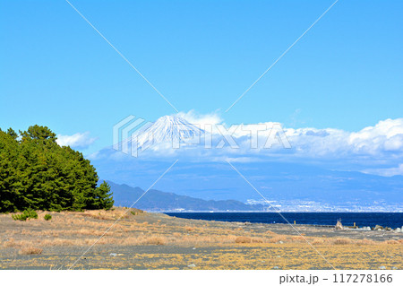 静岡・三保の松原 静岡・三保の松原 117278166
