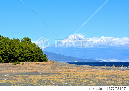 静岡・三保の松原 117278167