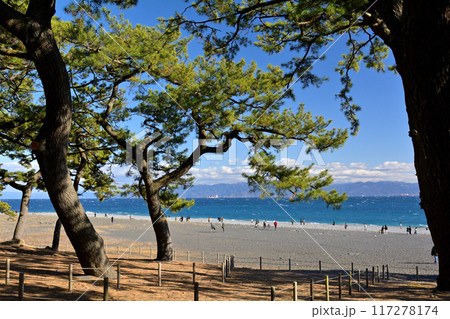 静岡・三保の松原 静岡・三保の松原 117278174