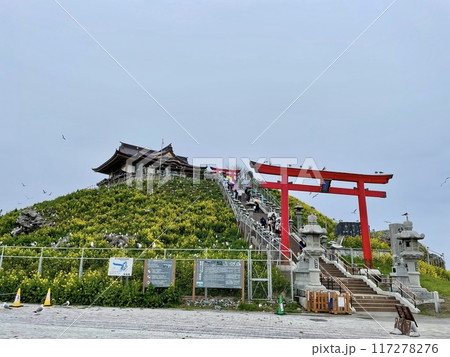 【青森県】蕪嶋神社の雄大な鳥居と参道 【青森県】蕪嶋神社の雄大な鳥居と参道 117278276