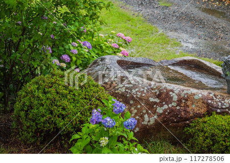 梅雨時の法船寺【松本市】 117278506