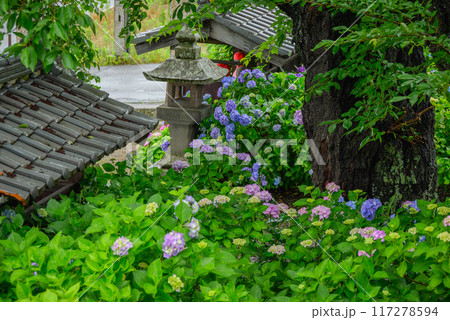 梅雨時の法船寺【松本市】 梅雨時の法船寺【松本市】 117278594