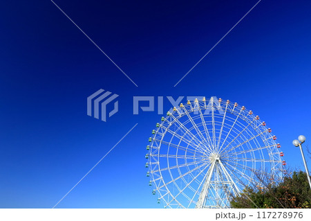 大きな観覧車 117278976