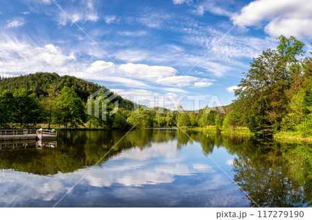 View at a lake in the Spiesswoogtal valley near Fischbach bei Dahn 117279190