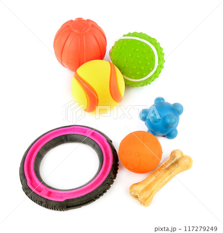 Set of toys for dogs isolated on a white. Free space for text. Collage. 117279249
