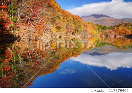 紅葉の長老湖と初冠雪の不忘山 紅葉の長老湖と初冠雪の不忘山 117279403