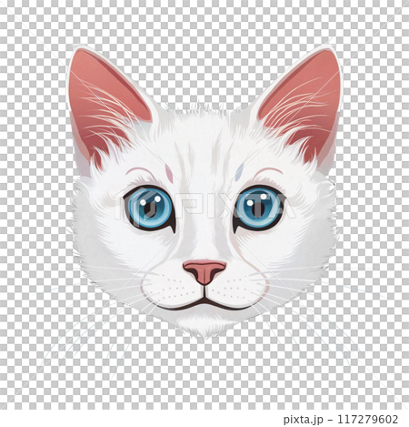 a cat's face a cat's face 117279602