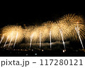 日本の花火が夜空を照らす 117280121