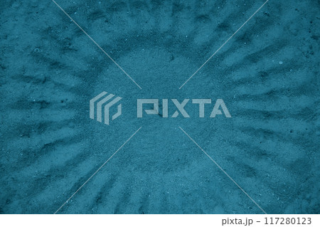 奄美大島の固有種であるアマミホシゾラフグが作るミステリーサークル 奄美大島の固有種であるアマミホシゾラフグが作るミステリーサークル 117280123