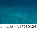水中のミステリーサークル 117280126