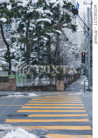 Crosswalk yellow lines on the road 117280234