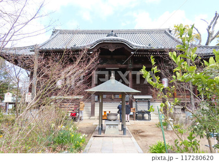 四国霊場86番札所 境内に樹木の多い志度寺本堂 四国霊場86番札所 境内に樹木の多い志度寺本堂 117280620