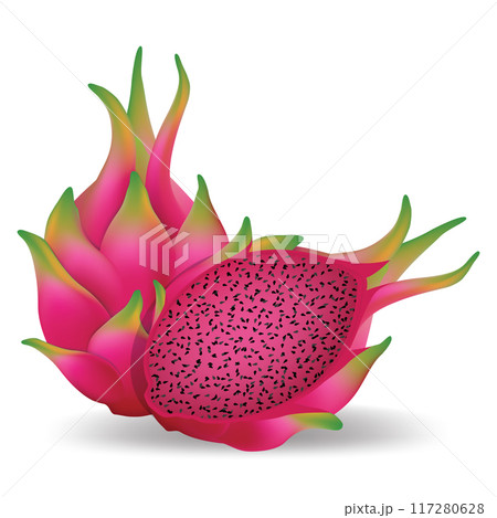 Red dragon fruit with shadow isolated on white background. Realistic dragon fruit. 117280628