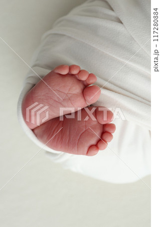 The tiny foot of a newborn. Soft feet of a newborn in a white blanket. Close up of toes, heels and feet of a newborn baby. Studio Macro photography. Woman's happiness. The tiny foot of a newborn. Soft feet of a newborn in a white blanket. Close up of toes, heels and feet of a newborn baby. Studio Macro photography. Woman's happiness. 117280884
