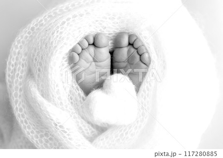 The tiny foot of a newborn baby. Soft feet of a new born in a wool blanket. Close up of toes, heels and feet of a newborn. Knitted heart in the legs of a baby Studio macro photography. Black and white 117280885